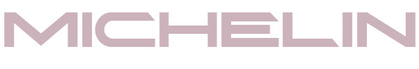 Michelin logo